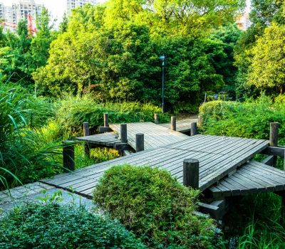 drewniane-drogi-w-srodku-lasu